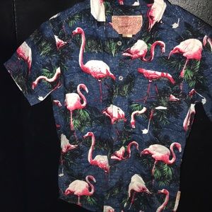 Casual Button Down Muscle Fit